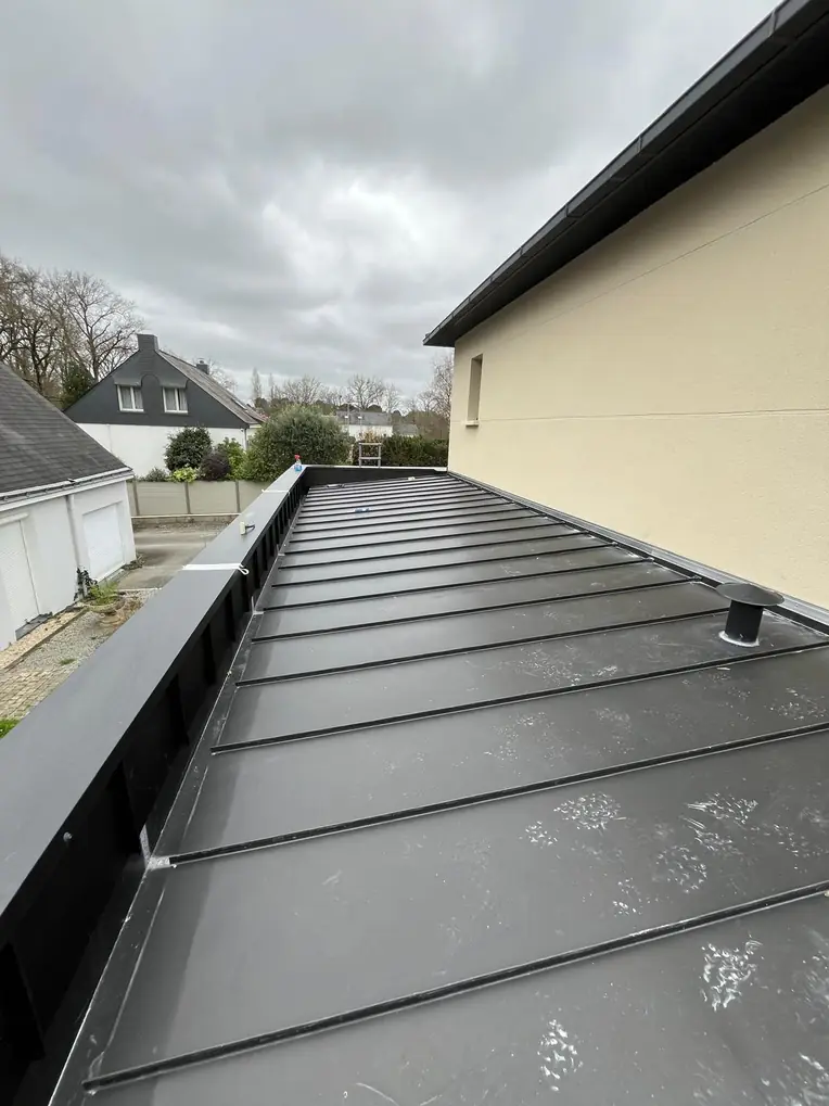 Couverture en zinc sombre vue en enfilade, joints debout réguliers